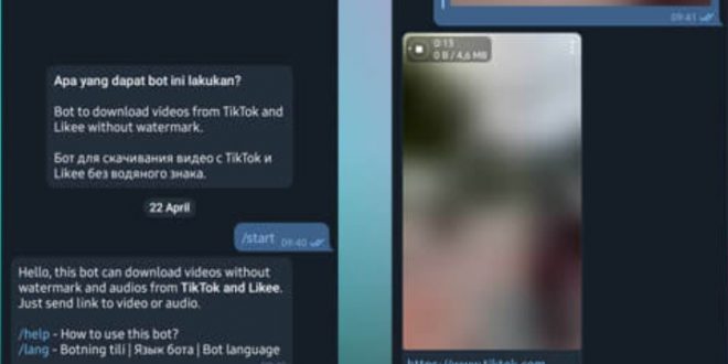 5 Bot Download Video Tik Tok Tanpa Watermark di Telegram